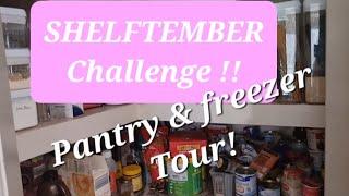 Shelftember Challenge ||  Pantry & Freezer Tour