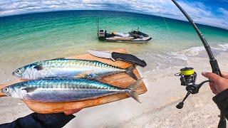 Catching Fish For Food On a Remote Island ( catch and cook )