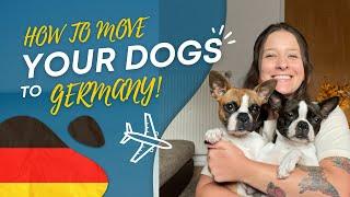 How to move your dogs to Germany!