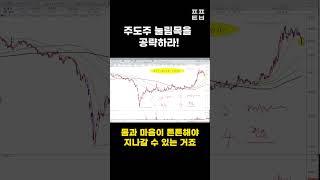[신의한수] 주도주 눌림목을 공략하라! #shorts