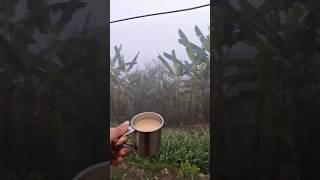 Village lifestyle in uttrakhand ️ #minivlog #phadilifestyle #rain #lifeofpahad @umadhami51 ️