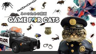 Cat Game - Cat TV | Latest Collection of Games for Cats | Vol 2 - 2024 | 11 Hours