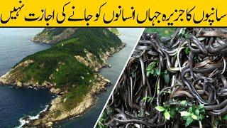 Sampo Ka Jazeera | Snake Island Brazil | Urdu/Hindi