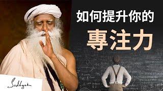 ‍️如何提升你的專注力 | Sadhguru (薩古魯)