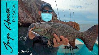 Pescando para comer en la CUARENTENA - Cabrillas, pargos y meros en EL FARALLÓN de San Ignacio