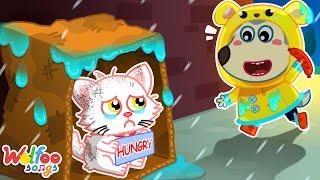 Don't be Sad, Super Kitty! - Emotional Pets Songs | Kids Songs & Nursery Rhymes @WolfooFamilySongs