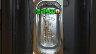 초음파 세척기에 기타줄을 넣었더니 소름