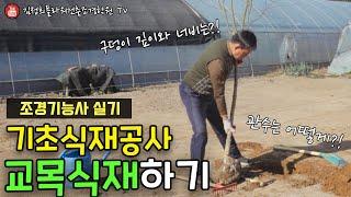 조경기능사 실기 완벽대비｜교목식재하기｜기초식재공사