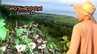 Finding wild mushroom and cooked sauted mushroom | Philippine Countryside | Biag ti away