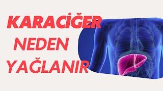 Karaciğer Yağlanması Nedir?  Karaciğer Neden Yağlanır / Doç. Dr. Mehmet Akif Öztürk