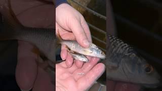 поехали на рыбалку #рыбалка #отдых #природа