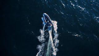 See the Unseen with Alexander Semenov