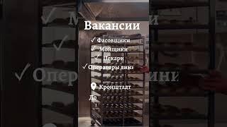 Работа на производстве сэндвичей! ИШ БОР, патент 78. Звоните, номера в описании профиля #работавспб