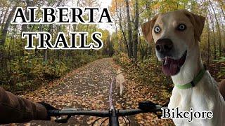 Pigeon Lake Provincial Park Trail - Bikejore