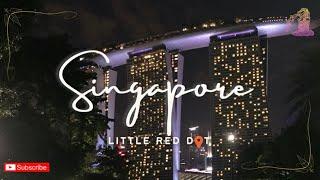 ASMR Travel | Little Red Dot: The Sounds of Singapore - TravelVlog(39)