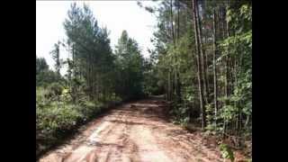 Land For Sale: Secluded Hunting Land