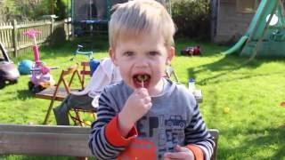 How To Feed Fussy Eaters on Holiday - James Villa Holidays