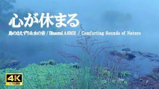 心が休まる：金鱗湖の水の音 由布岳の鳥たちのさえずり / 心の疲労回復 ストレス軽減【自然音,ASMR,立体音響,4K,relaxing  nature sounds】