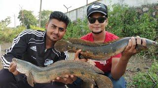 Aamir Khan and Angler Azam Caught Snakehead Fish Murrel Fish on frog lure #Trending #Youtube#fishing