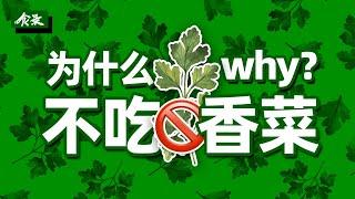 是谁第一个把香菜搬上了餐桌？你为什么不喜欢吃香菜？