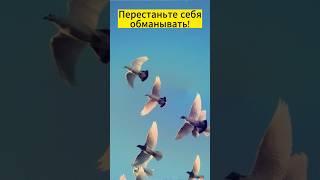 Перестаньте себя обманывать!