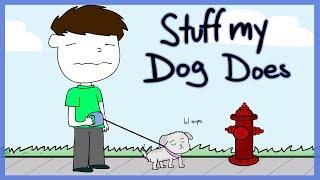 Stuff My Dog Does