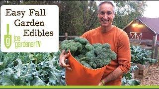 Easy Edibles for Every Fall Vegetable Garden