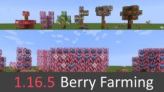 Finding and Farming Berries in Pixelmon 1.16.5