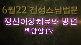 백양암tv6월22일법문 정신이상치료와 방편사례