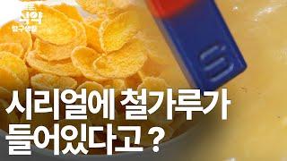 시리얼 속에 철가루가 들어있다고? [슬기로운 식약탐구생활]