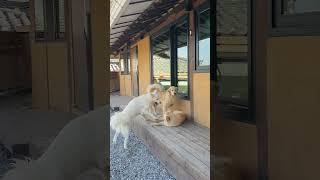 하늘이 즐거운 하루
