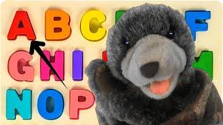 ABC Mix-Up! Fun with Letters A-Z (Tree Bear!)