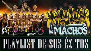 Banda Cuisillos vs Banda Machos Regional Mexican Music éxitos 2023