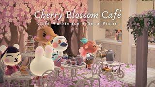 Cherry Blossom Café  Café Ambience + 1 Hour Magical Solo Piano No Ads  Studying Music | Work Aid 