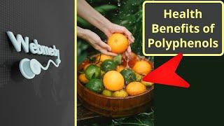 What are Polyphenols? | Health Benefits of Polyphenols