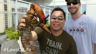 Episode #10- How to grill Fresh Canadian Lobster & Seafood (Seafood Feast Summer 2018)| Laws Of Life