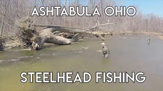 Steelhead of Ashtabula Ohio