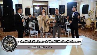 Taraful Marian Mexicanu & Ana Maria Mexicanu - Program de nunta la Gaesti 2024