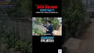 경매에서 공유물 분할경매란 무엇인가요??