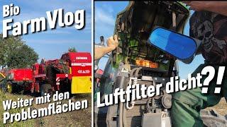 Kartoffeln roden  kraut abschlagen - hafer laden & mehr / Vlog 126