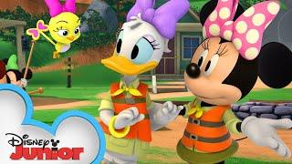 Minnie & Daisy are Camp Counselors | Mickey Mornings | Mickey Mouse Roadster Racers | @disneyjr