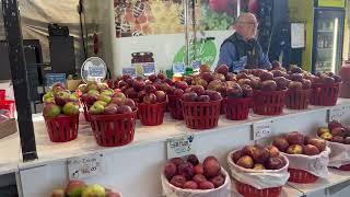 [4K] Montréal 2023 Montréal Jean Talon Market Walking Tour|4K 60FPS|#walkthrough #jeantalonmarket