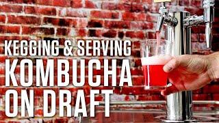 How to Keg Kombucha and Serve Kombucha on Draft