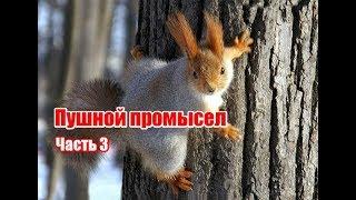 Пушной промысел | Часть 3