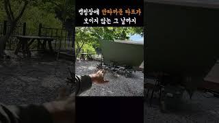 타프 이게 왜 논란이죠? 좀 더 쉽게 알려 드리겠습니다 이유는 명확합니다. 고수는 패스~ #타프