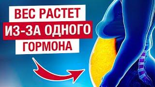 Как кортизол приводит к ДИАБЕТУ и старению? / Как снизить кортизол и сахар в крови?