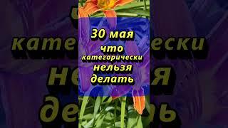 30 мая что категорически нельзя делать