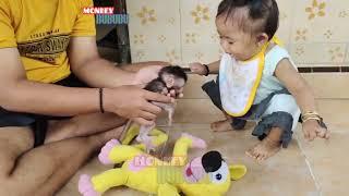 baby monkey playing