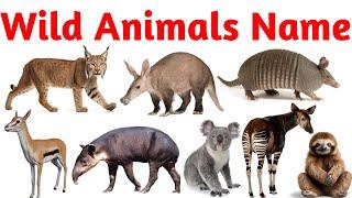 Wild Animals Name for Kids | Learn Jungle & Safari Animals in English with Sounds & Pictures | Zoo