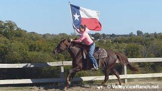 Pepto Shmepto - carrying the flag - Valley View Ranch